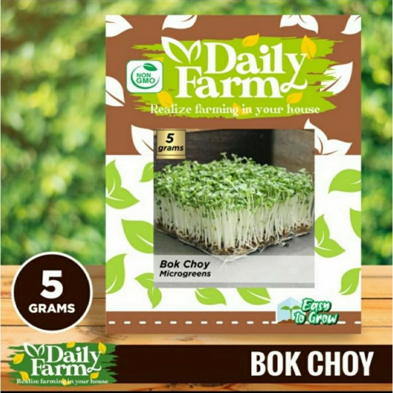 Benih Sayur Microgreen - Microgreen Bok Choy - Daily Farm