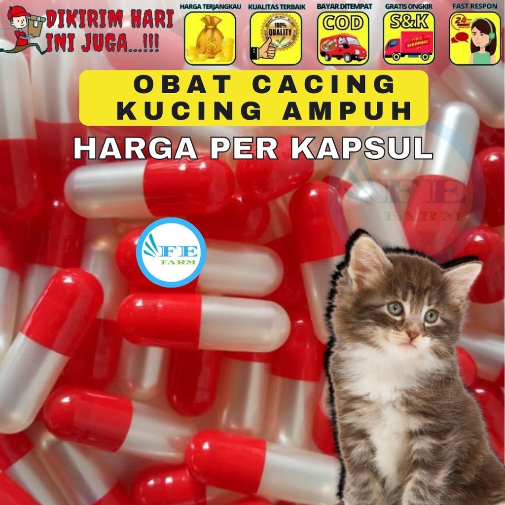 1 KAPSUL OBAT CACING KUCING SUPER AMPUH FEFARM