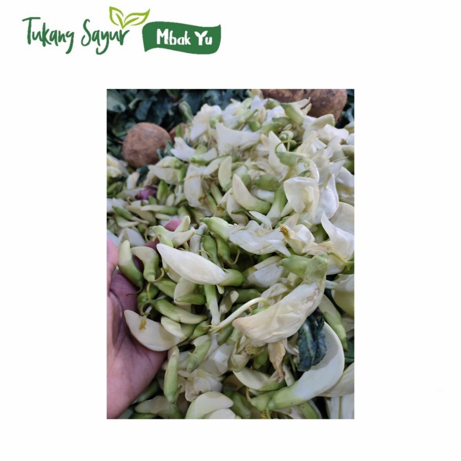 

kembanng turi segar 100 gr