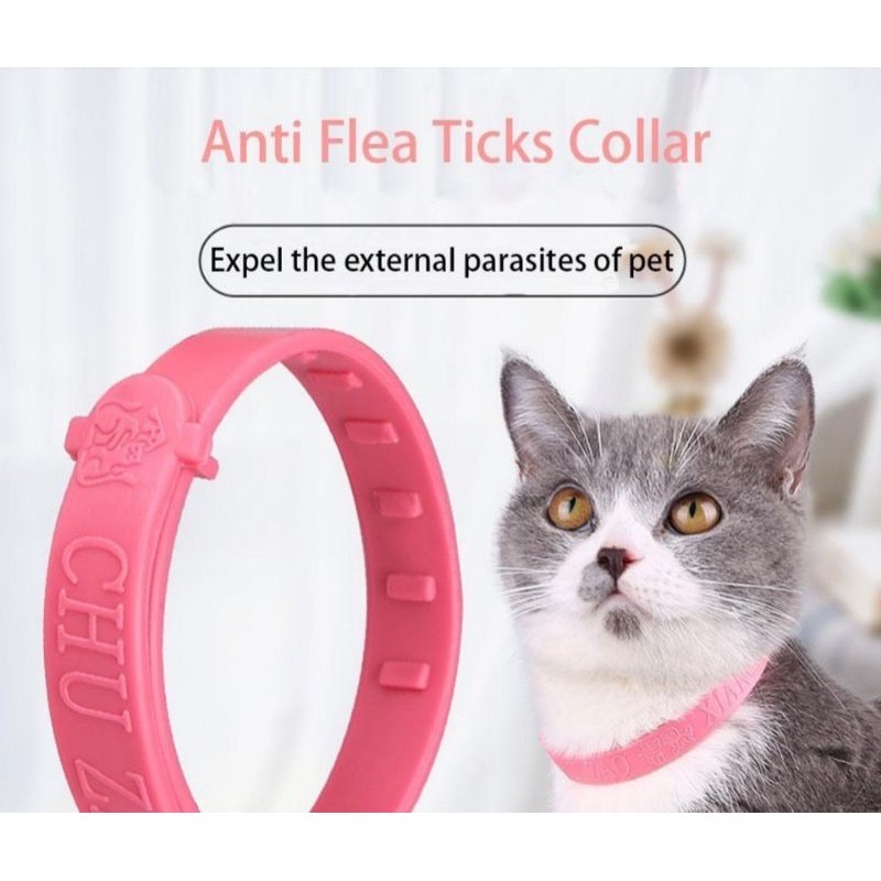 Kalung Kucing / Kalung Anti Kutu & Nyamuk Kucing / Kalung Anti Kutu Anjing IMPORT