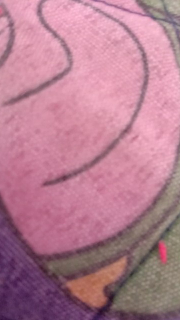 Polytex Sabut Spon Regular