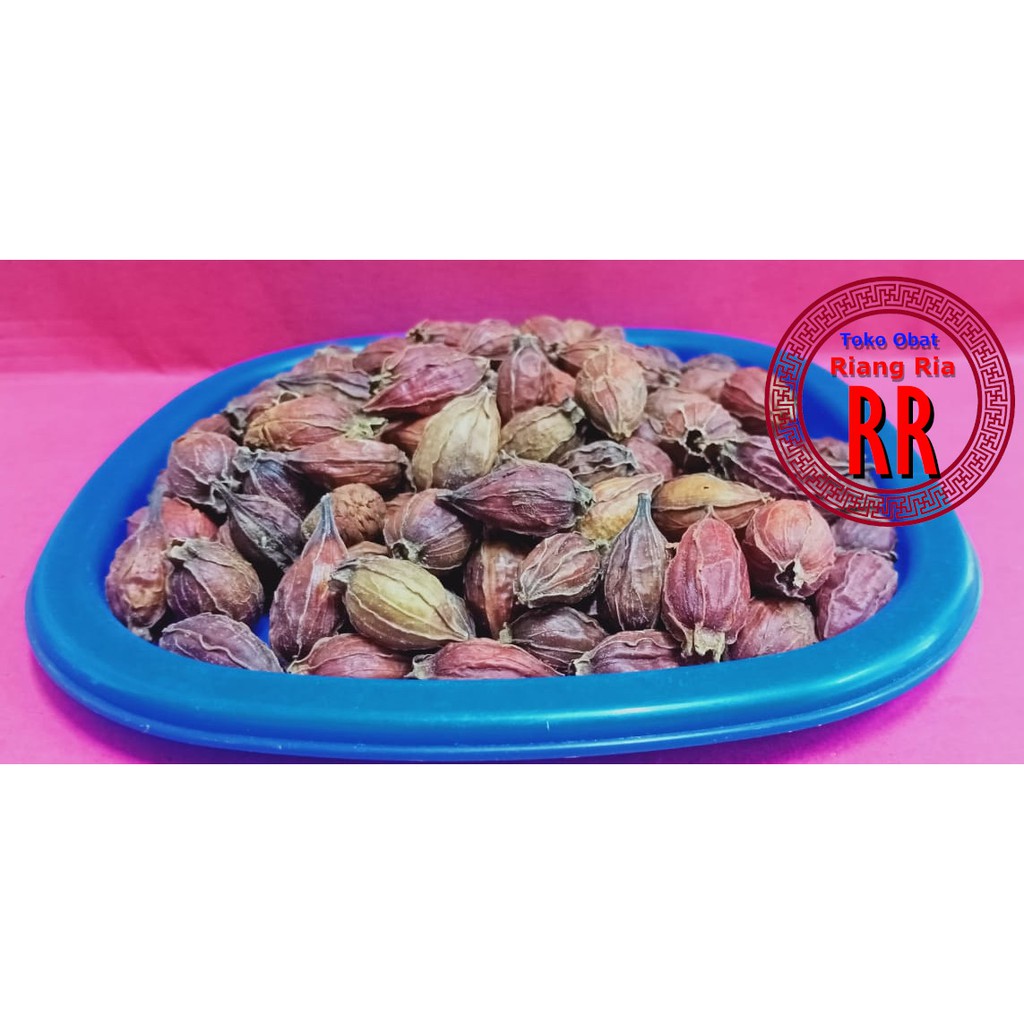 

100 GR SHAN ZHI ZI GARDENIA FRUIT