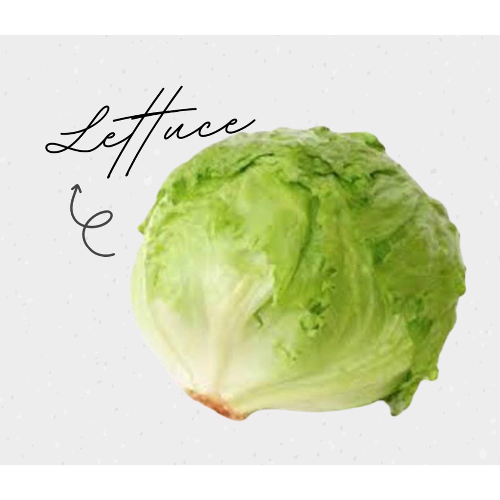 

Lettuce / Slada / Salad 1Kg