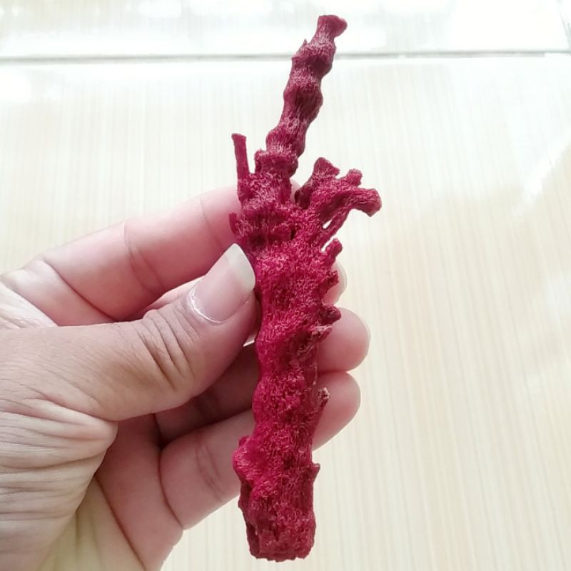 Batu Natural Red Coral / Marjan Merah Karang Laut Asli 03