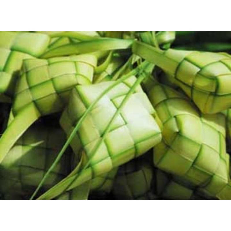 

paket cangkang wadah ketupat 7 buah