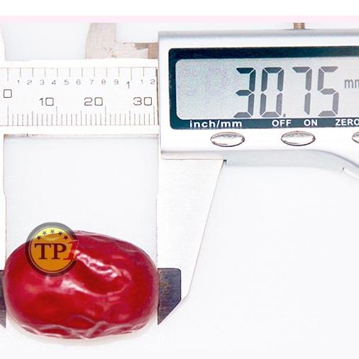 

PROMO Termurah 500gr!!! / Angco Ang co/Hongzao Hong Zao Kurma Super Qulitas/KURMA 1KG/KURMA BARARI/KURMA RUTHOB/KURMA BAM/KURMA PALM FRUIT/KURMA TANGKAI/KURMA AZWA/KURMA SUKKARI/KURMA SAFAWI/KURMA TUNISIA/KURMA MUDA KUNING/KURMA MUDA HIJAU/KURMA