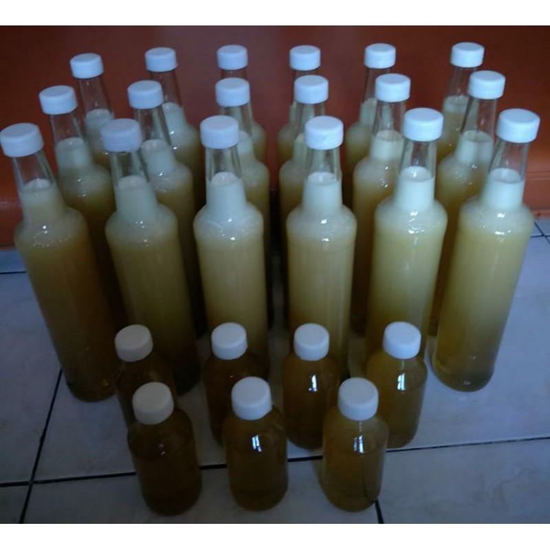 

Madu Natural Asli Pati Jawa Tengah - Honey