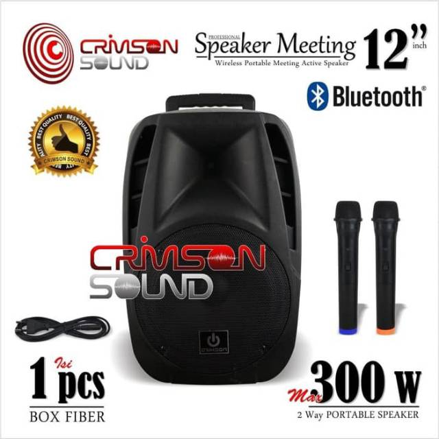 Speaker portable 12 inch meeting wireless