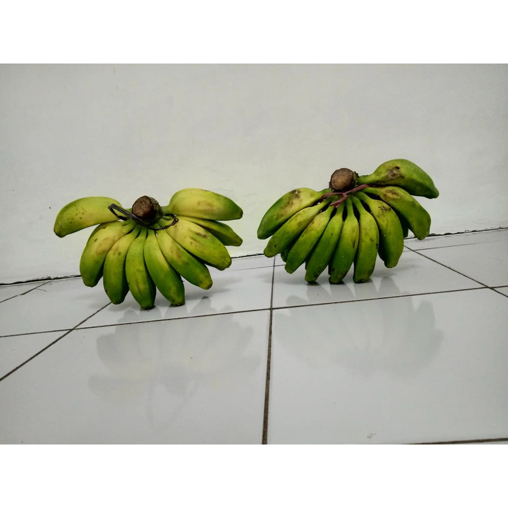 PISANG KEPOK KALIMANTAN FRESH (1 SISIR ISI 12-20)