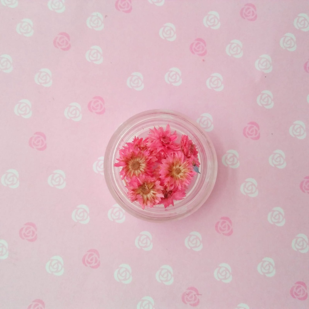 DEKORASI SLIME / CLAY / NAIL ART DY FLOWER JAR / BUNGA KERING