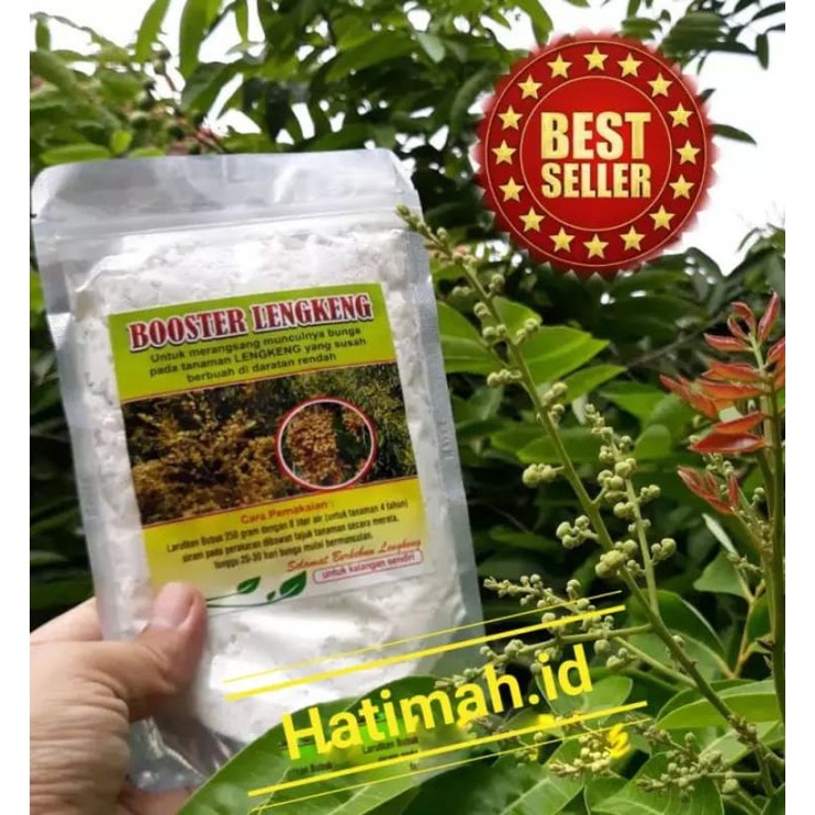 boster perangsang tanaman buah kelengkeng