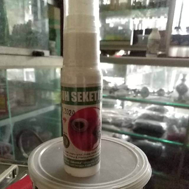 Snot Sembuh Seketika