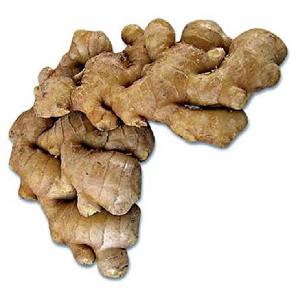 

JAHE EMPRIT 250 GR
