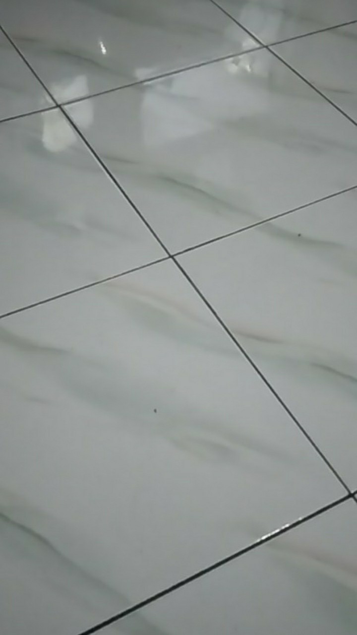 Kemeja Batik Pria Lengan Pendek Baju Batik Pria Batik Kantor Seragam Kerja Ukuran Reguler M.l.xl