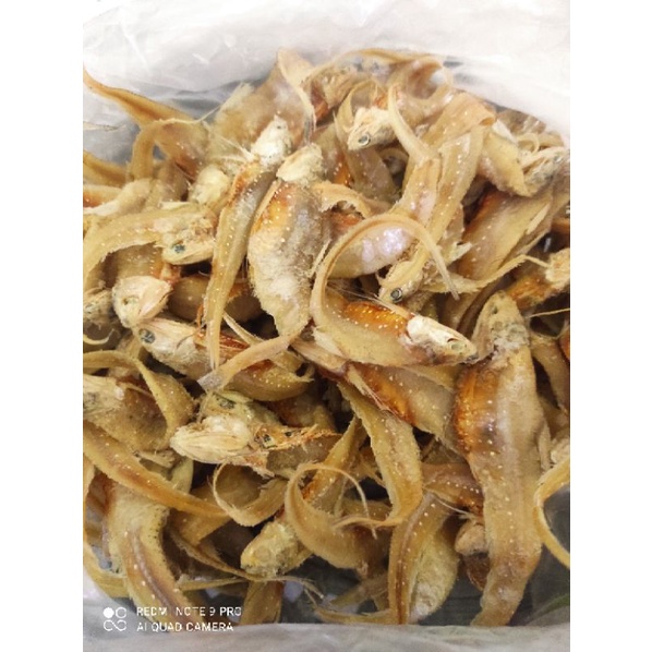 

Ikan Asin Bulu Ayam 1 Ons