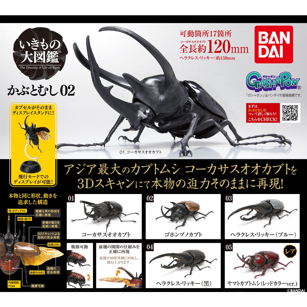 Kabutomushi 02 Kumbang Beetle Ikimono Dangomushi Bandai Gashapon Gacha Ikimono Encyclopedia