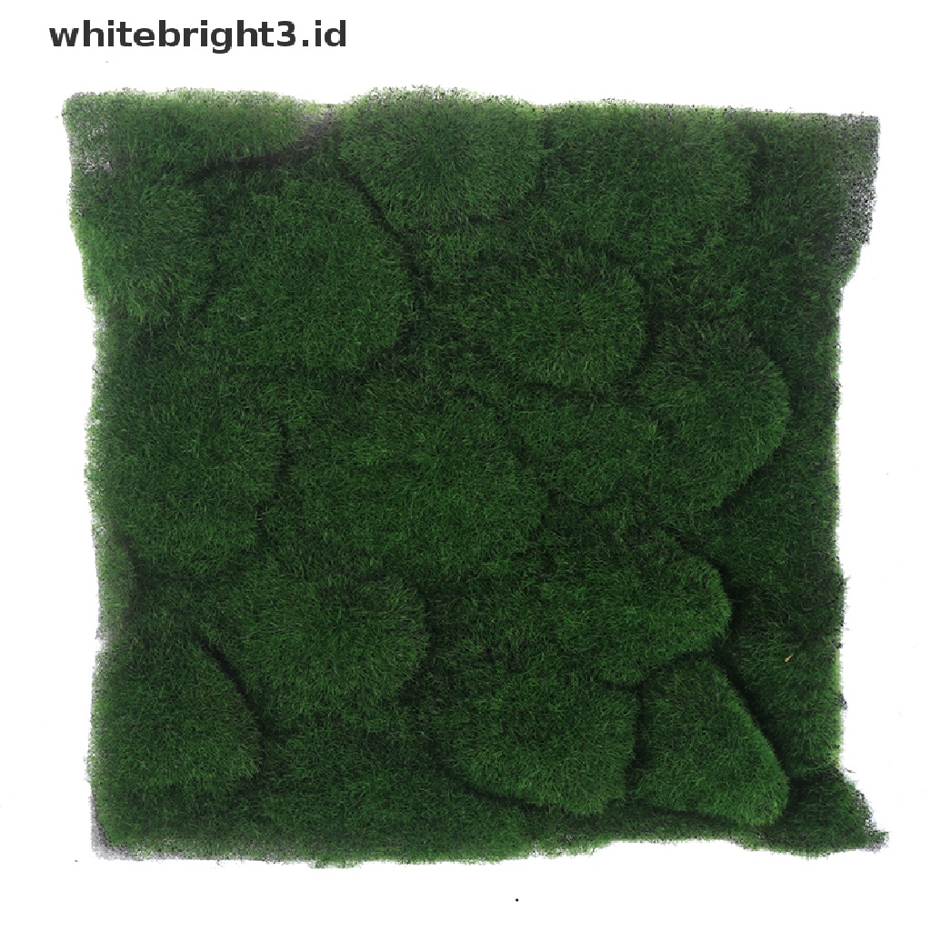(whitebright3.id) Tanaman Lumut Hijau Imitasi Untuk Dekorasi Taman diy