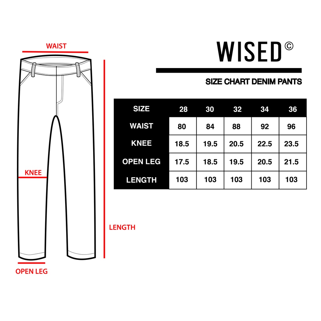 WISED | WILDER | DENIM WASHED PANTS