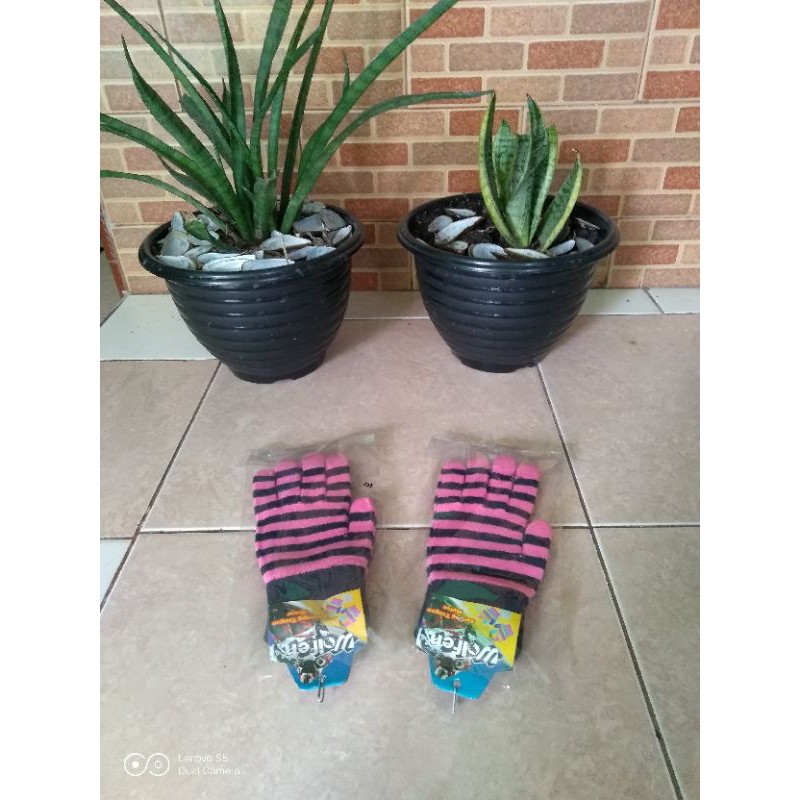 Sarung tangan motor wanita/pria/sarung tangan rajut