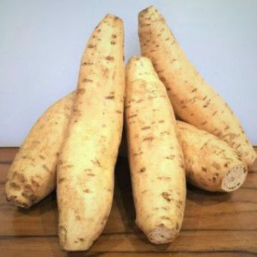 

UBI CILEMBU FRESH (1kg)
