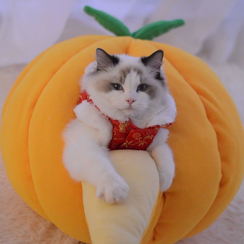 Alas Tempat Tidur Hangat Bentuk Labu Lucu Untuk Anjing Kucing