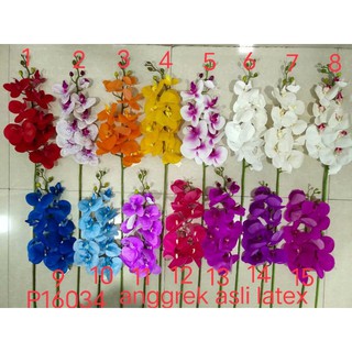  BUNGA  ANGGREK  LATEX 600K anggrek  hias anggrek  bulan  lateks 