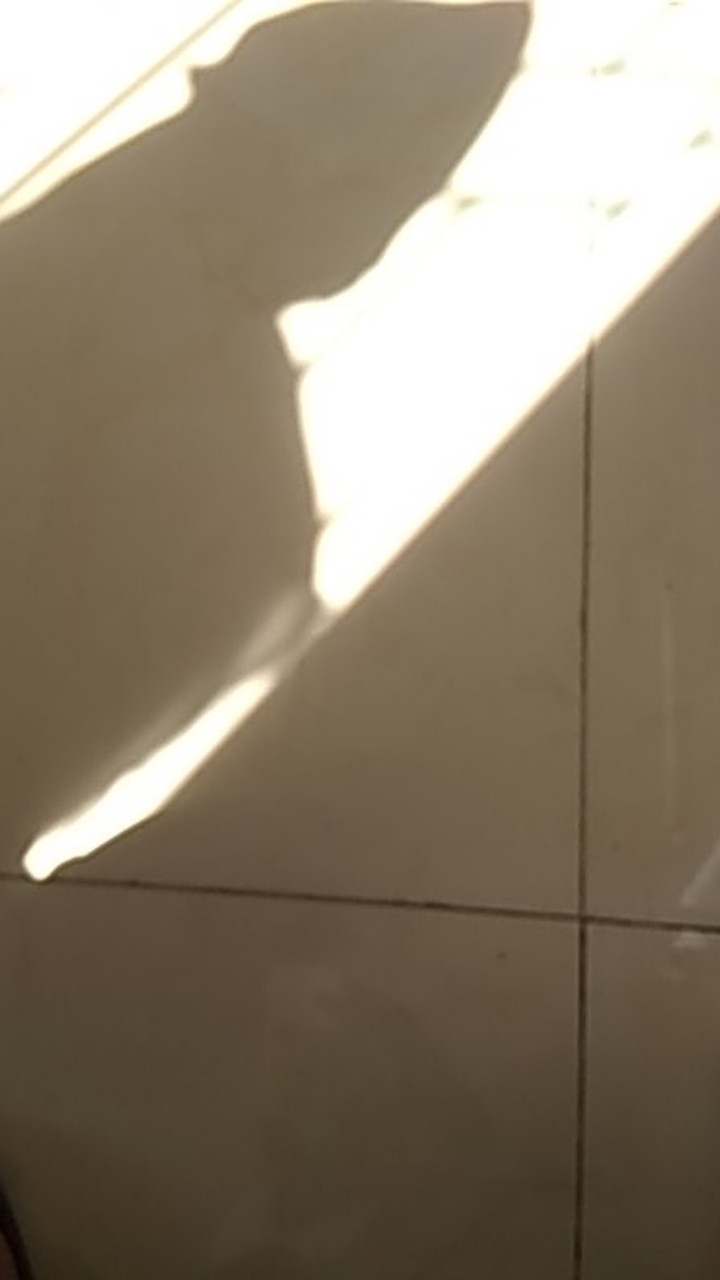 Speedy Cooper Mini , Blander Bumbu Manual