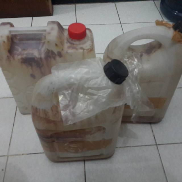 

Madu Hutan Asli NTT