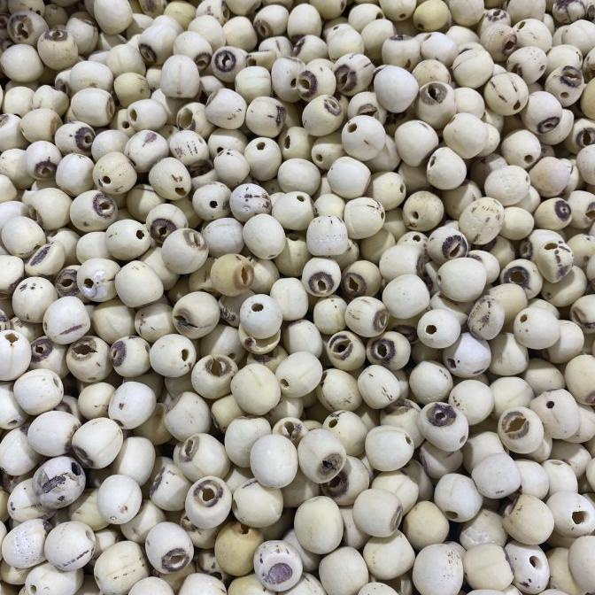 

Biji Bunga Teratai / Lience / Lianzi (500 Gram)