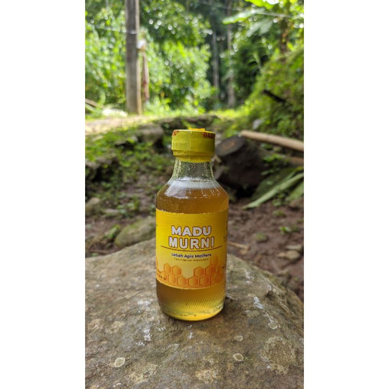 

Madu murni 100 % asli ukuran 150 ml