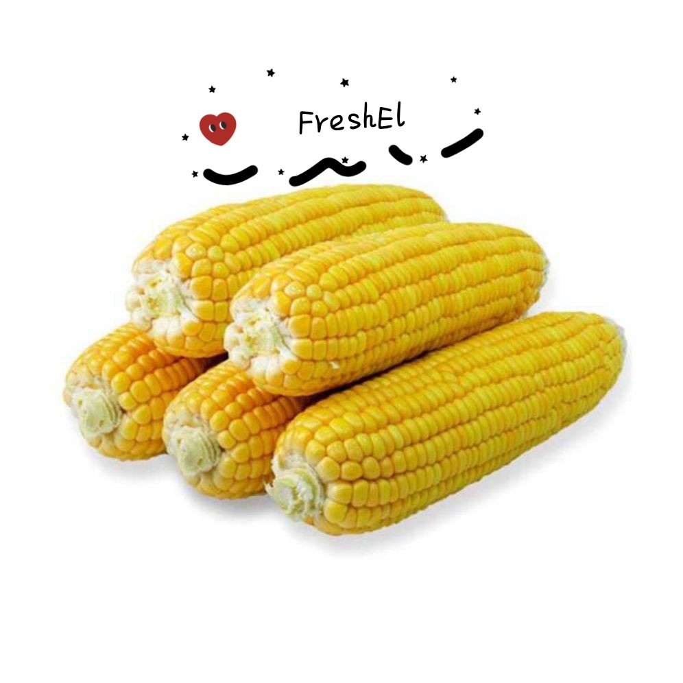 

FreshEl - JAGUNG MANIS 1PCS