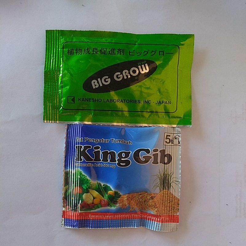 Paket Big Grow dan King Gib