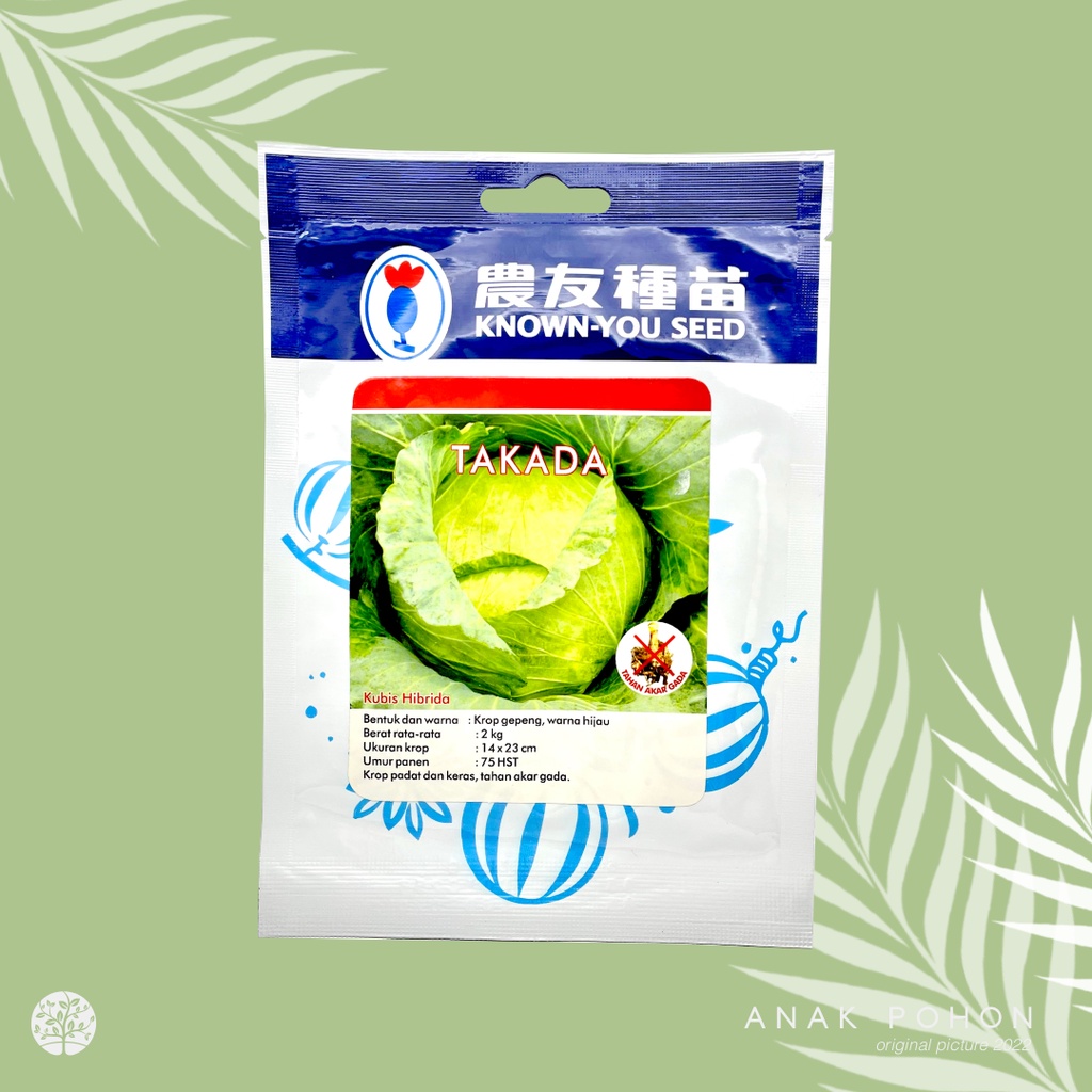 (1 PACK) Benih Kubis Hijau TAKADA Hibrida F1 Seeds - Tahan Penyakit Akar Gada - Known You Seed KYS - 10 GRAM