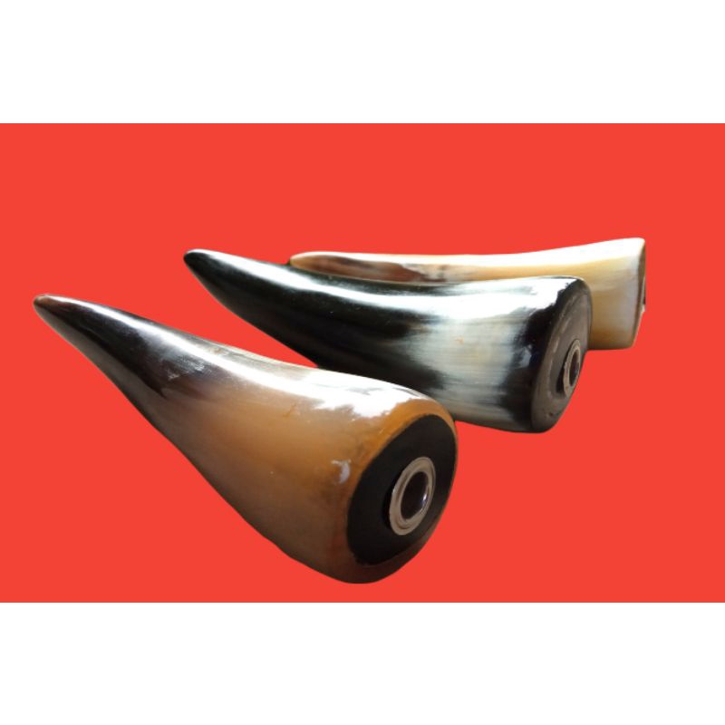 PIPA ONCE CANGKLONG TANDUK SAPI JUMBO