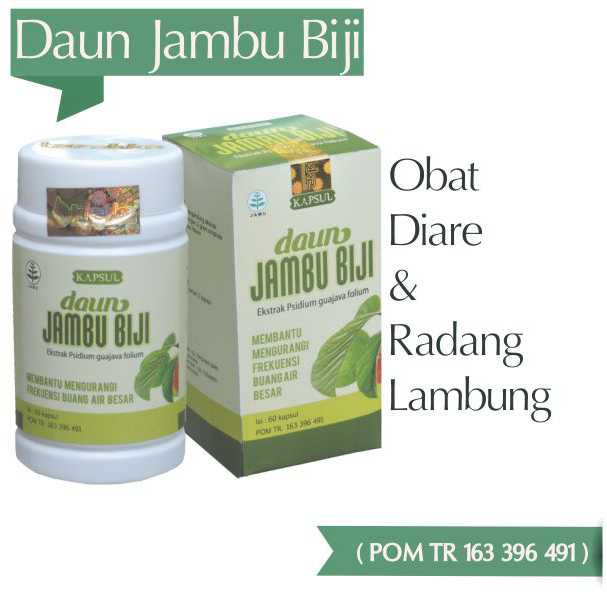 Yuk Simak Manfaat Daun Jambu Biji Untuk Tukak Lambung 