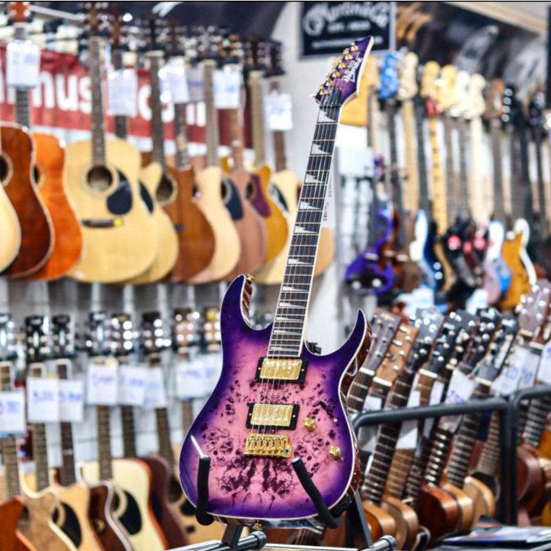 Ibanez GRG220PA Royal Purple Burst - GRGR-220-PA / GRGR 22PA RLB