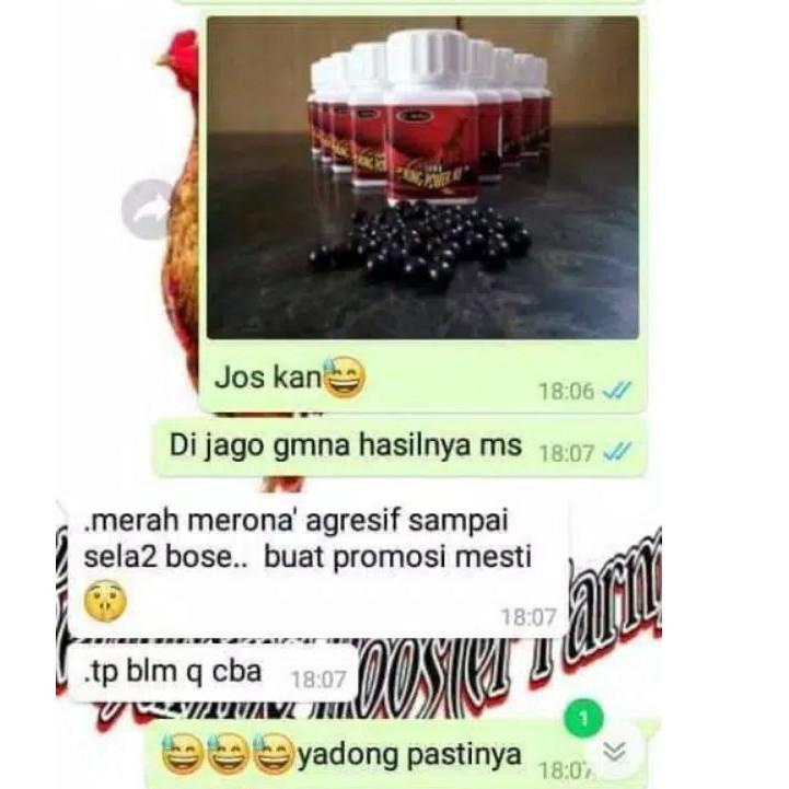 Big Sale.. jamu ayam laga king power kf