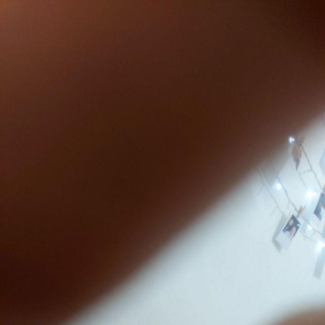 Daun Maple Artificial Lembaran