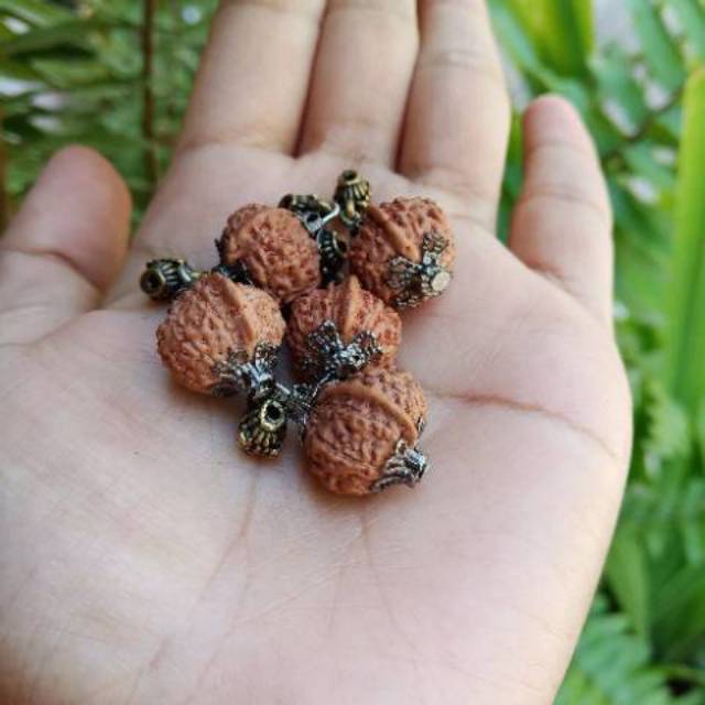 Jenitri ganesha mukhi 8 mukhi 9 random