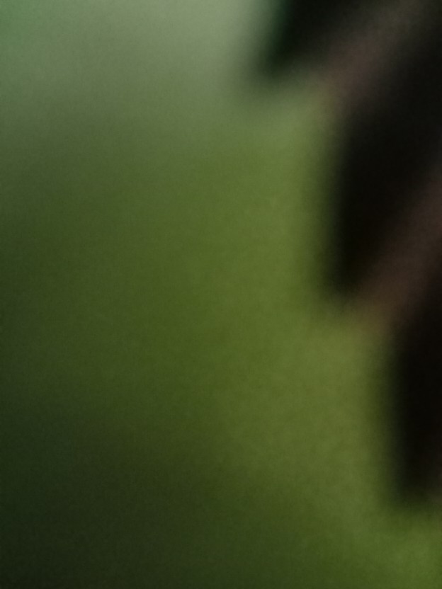 Perfin Blender Mini Alat Dapur Manual Mini Lemon Press Alat Memasak Sehat Juicer 100% Warna Acak