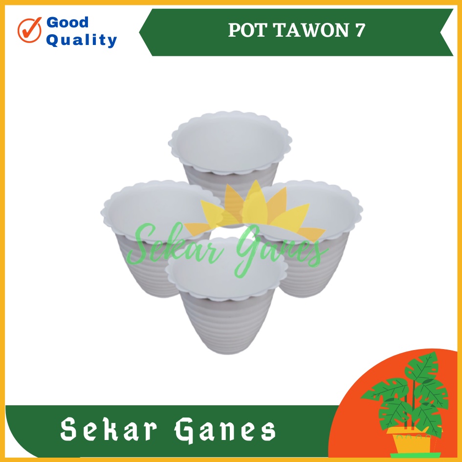 Pot Tawon 7 Putih 7.5 Cm By Garden Of Love Pot Bunga Plastik Mini Lucu Vas Bunga Kaktus Kecil