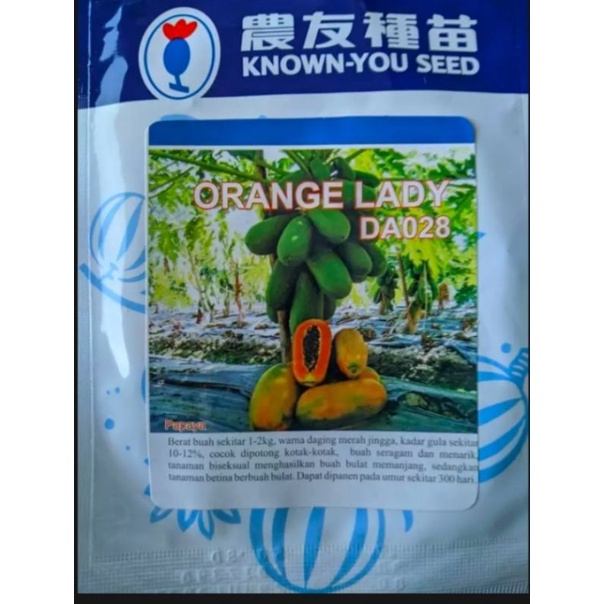 BENIH PEPAYA CALIFORNIA ORANGE LADY DA 028(known you seed)
