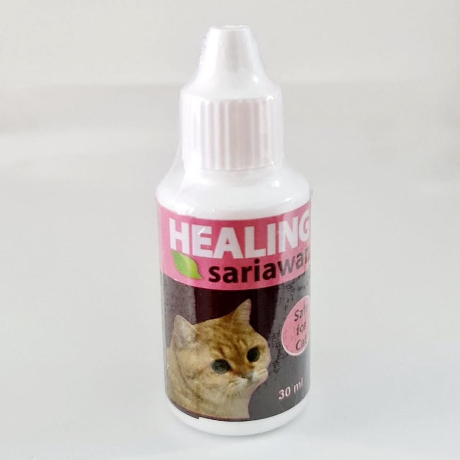 Healing Sariawan Kucing Pencegah Bau Mulut Dan Liur Berlebih