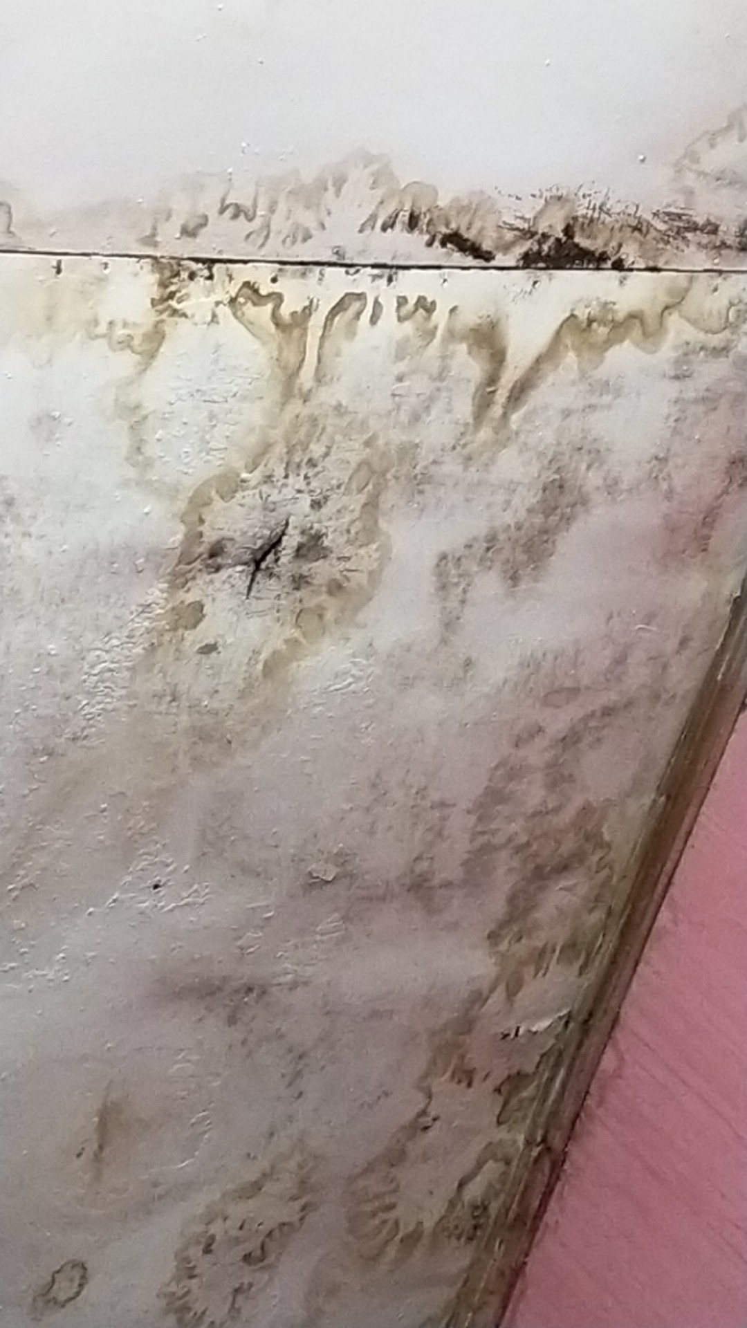 Tali Jemuran Praktis 5 Meter