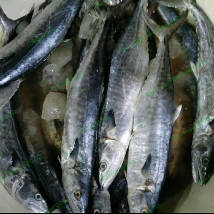 

Fisho | Ikan Tenggiri Fresh Dan Segar ( 1Kg ) Ready stock