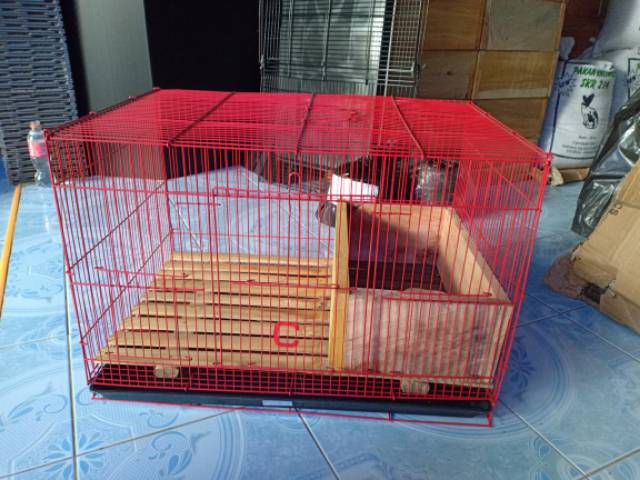 kandang kucing ukuran L 60x40 besi rapet-4