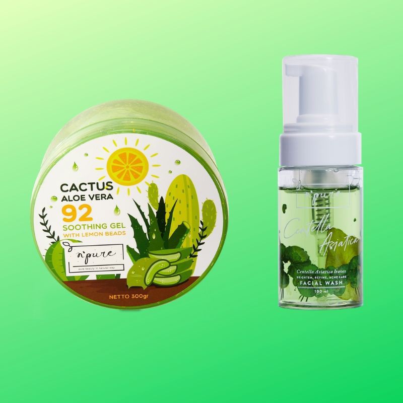 PURE PAKET Cactus Aloe Vera + Face Wash Cica