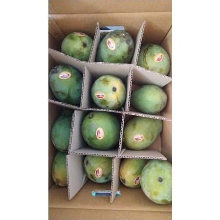 

Mangga Alpukat 1kg