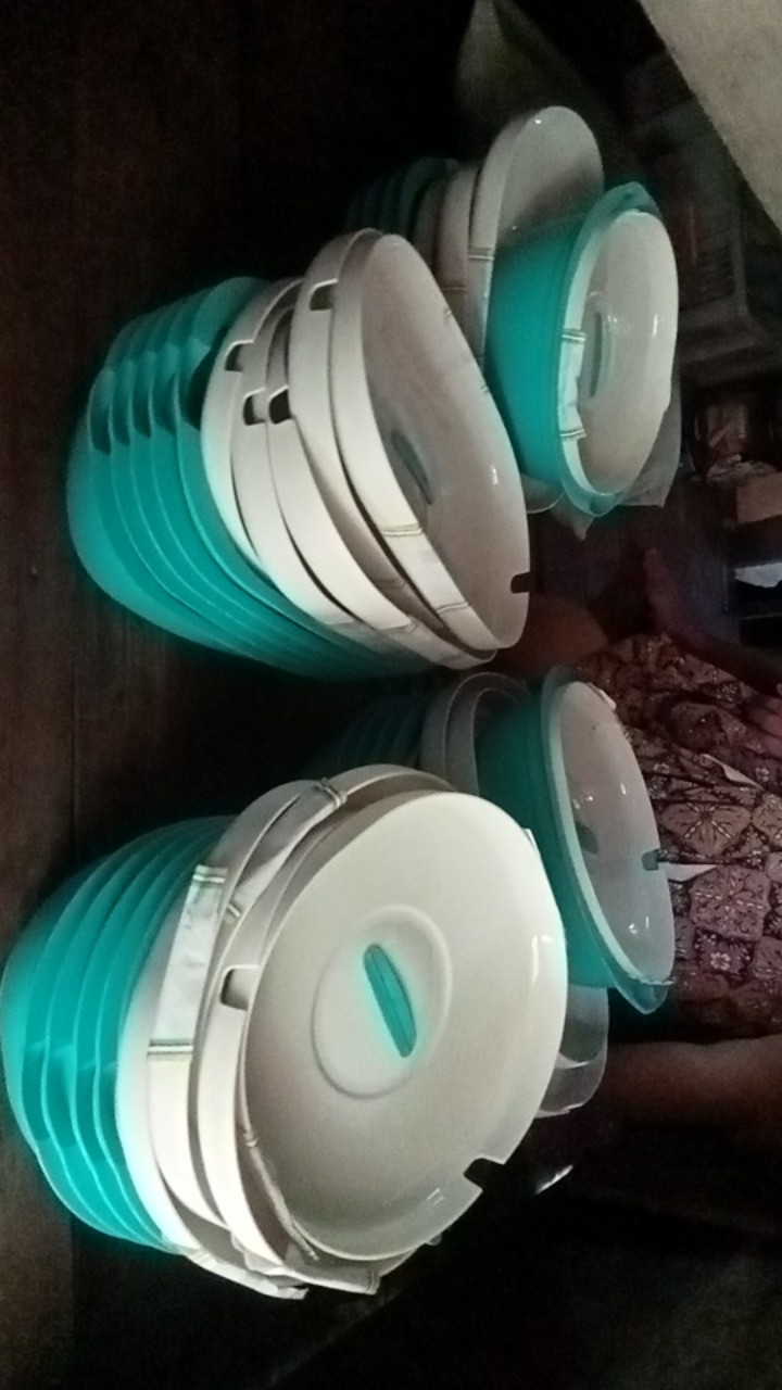 Batamgrosir.id | Kotak Makanan Verona Wadah Saji 2.8l Food Storage Green Leaf 7688