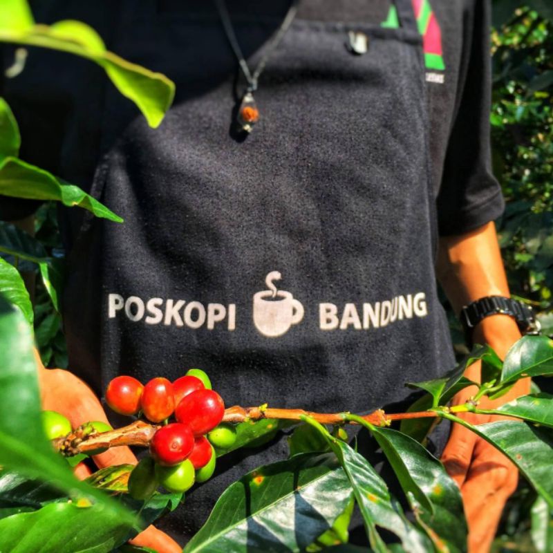 

poskopikopinikmat